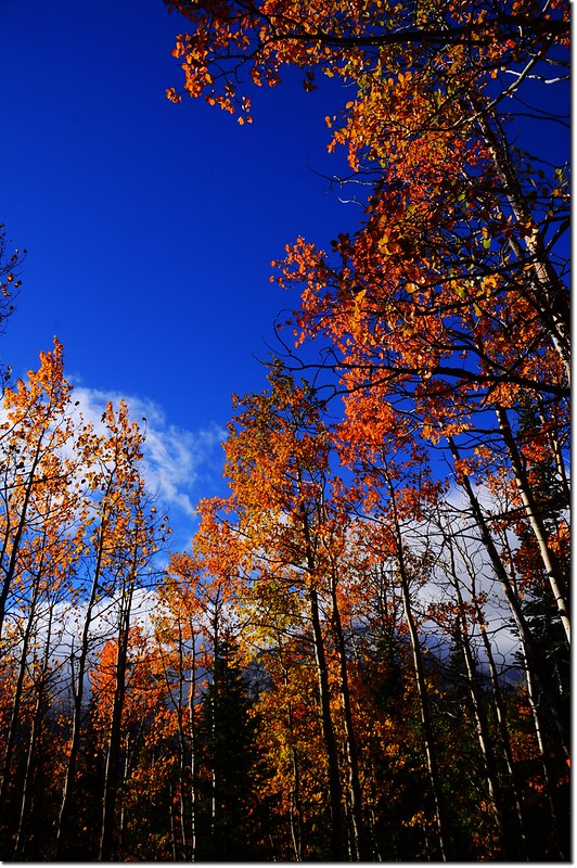 2015 Rockies in Fall, Bear Lake Area (3)