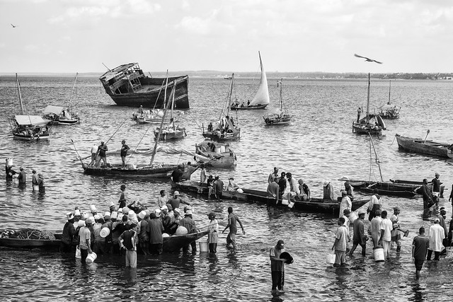The Dhows of Zanzibar