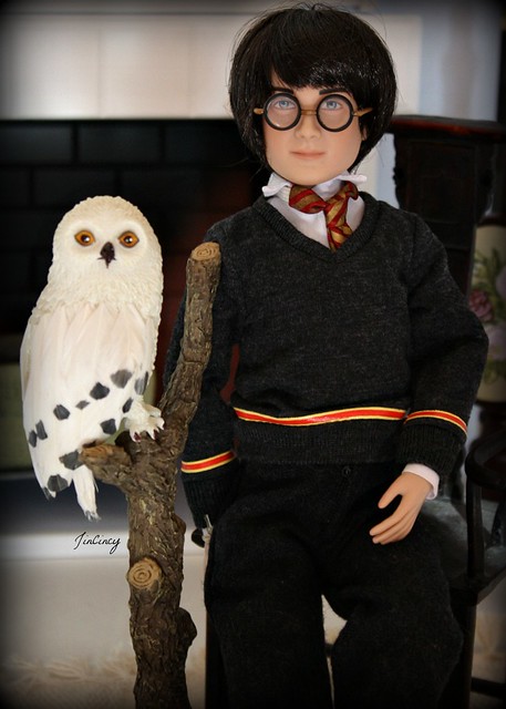 A Boy and His Owl