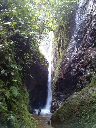 forest trekking waterfall selva perú jungle caminata catarata junín lamerced 2015 chanchamayo selvacentral selvaalta