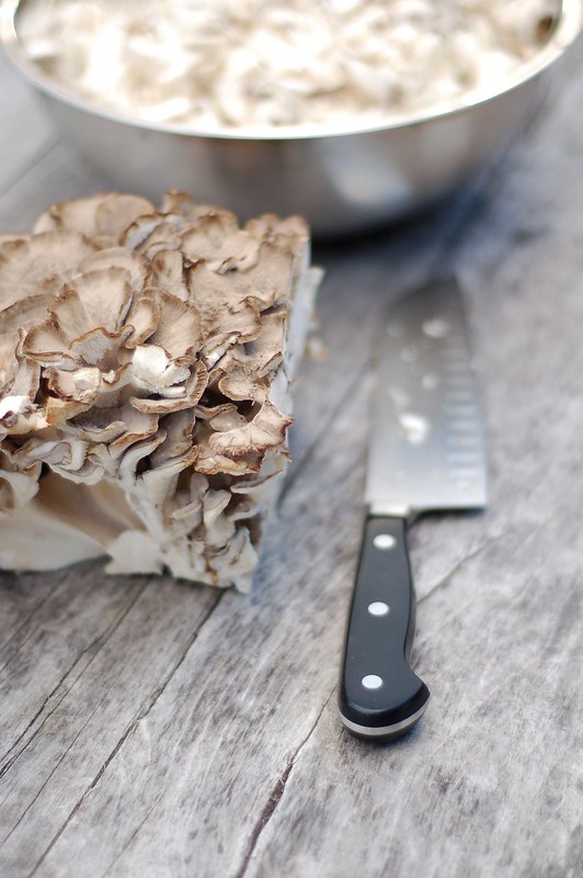Hen-of-the-woods mushroom also known as Maitake mushroom by Eve Fox, the Garden of Eating, copyright 2015