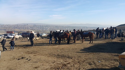 georgia cattle hans caucasus bazaar heiner basar marneuli 2015 buhr