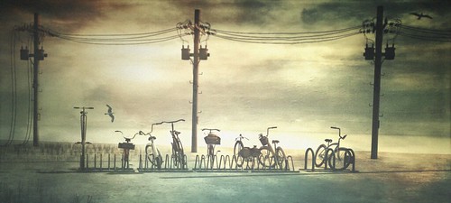Bikes and  Birds