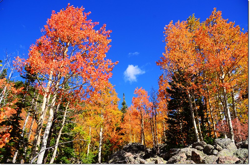 2015 Rockies in Fall, Bear Lake Area (24)
