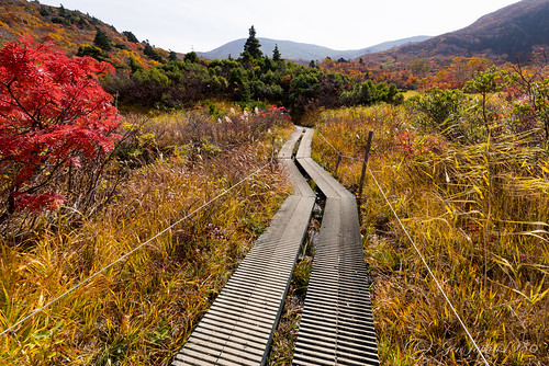 2015 一関市 岩手県 栗駒山 登山 紅葉 風景 日本 japan iwate mountain autumn 秋 landscape