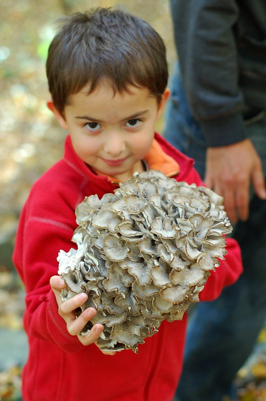 Will with his find - a gigantic hen of the woods mushroom by Eve Fox, The Garden of Eating, copyright 2015