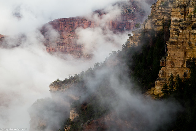 Clearing Fog at the Grand Canyon