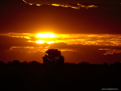 sunset tanzania selous