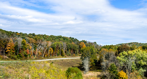 road autumn trees ohio color nature flora athens nelsonville