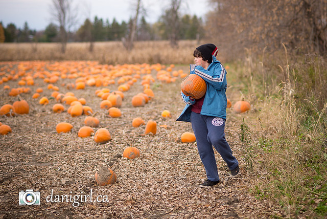 Pumpkin picking 2015-4
