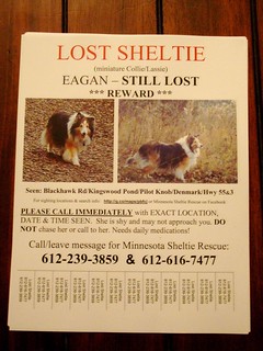 Cupcake's Lost Dog Flyer #2