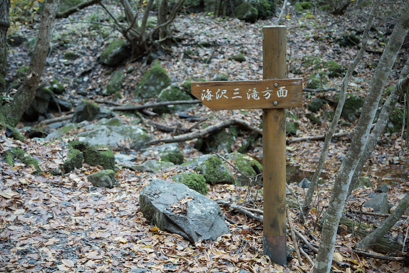 海沢の三滝 奥多摩 #tokyo島旅山旅