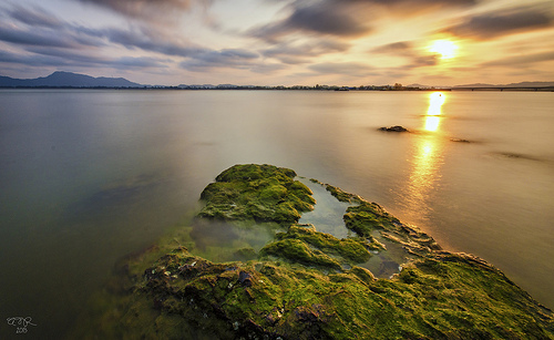 2013 ahmad best bwnd110 class cool coolpicture coolpictures d7000 dungun exposure fahmi getty green images landscape long malaysia nikon photography rock seascape shutter slow stone sunset terengganu warm water weed