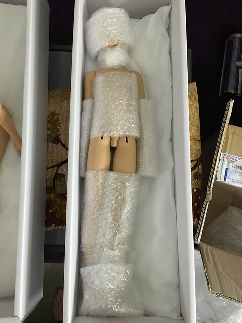 The Great Doll Arrival of 2015