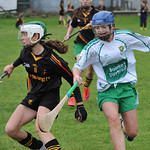 Camogie 2015
