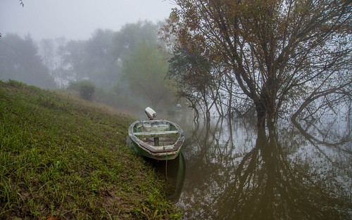 fog boat croatia rivers hrvatska foggymorning riverkupa nikond600 nikkor2485284