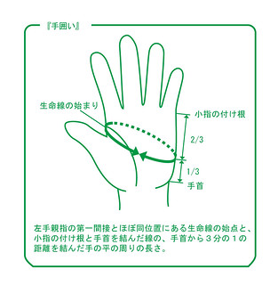 gloves_size