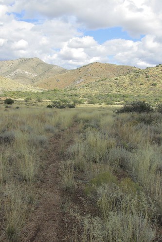 arizona apachepass fortbowienationalhistoricsite butterfieldoverlandmailroute westwardwagontraintrail wagontraintracks