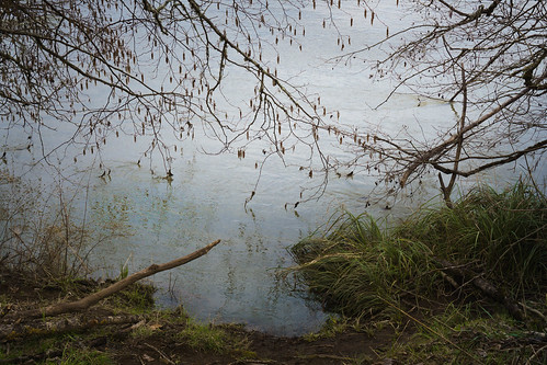 photos4pny eugene riverbank willametteriver river water reflections willametterivertrail landscapes