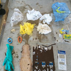 One hour's snorkeling  - 16 pieces of rubbish