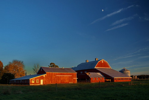county autumn fall kent moonrise greenfield afternoonlight redfarm 84thstreete