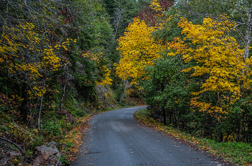 fall colors oregon sony 2015 sonyalpha currycounty elkriverroad dt1650mmf28 a77ii