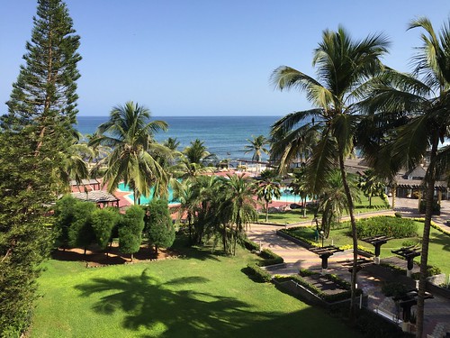 ocean africa view scene palm afrika senegal dakar palmiye iphone manzara okyanus