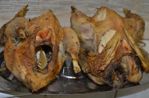 roast chicken Nov 15 (1)