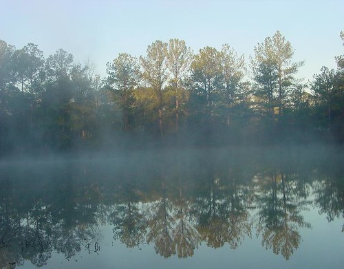 morning camping trees reflection nature water fog forest landscape dawn pond woods louisiana stockisland pearlriver gravelpits