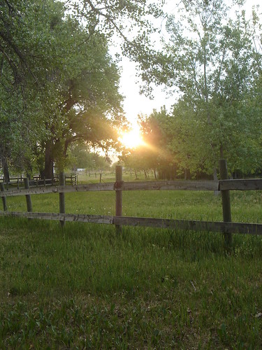yards sunset fence horseshoes