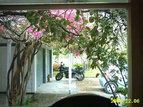 2005 newzealand holiday window hostel motorbike nz northland throughawindow motorycle nz2005 bbh nz05 viewfromawindow kahoefarmhostel kahoe holidayaccommodation hostelspool jacqistravels