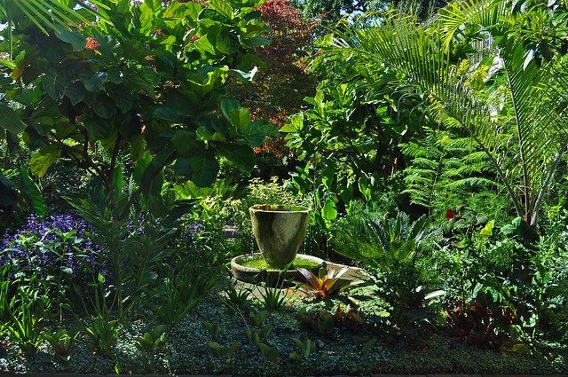 Teacup Garden (1)