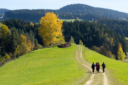 austria oberösterreich königswiesen at naturfreunde