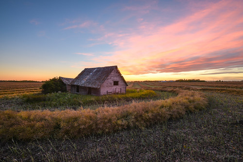 ca pink sunset canada abandoned field cut harvest alberta harmony reds derelict sheds sturgeoncounty distagon1528zf