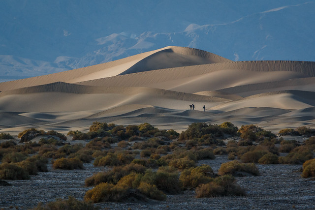 Stunning Light on the Dunes in Death Valley