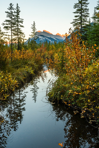 ca autumn sunset lake canada reflection spiders alberta vermilion banffnationalpark 2014 improvementdistrictno9