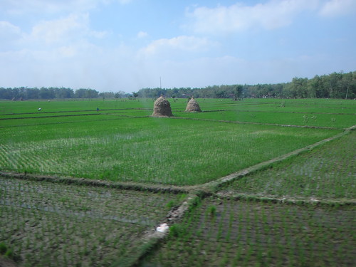 indonesia tren java yogyakarta transporte plantacion 2015