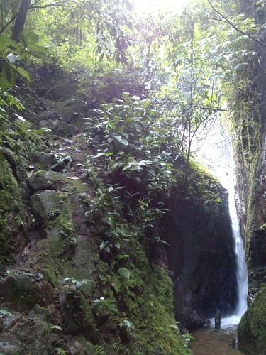forest trekking waterfall selva perú jungle caminata catarata junín lamerced 2015 chanchamayo selvacentral selvaalta