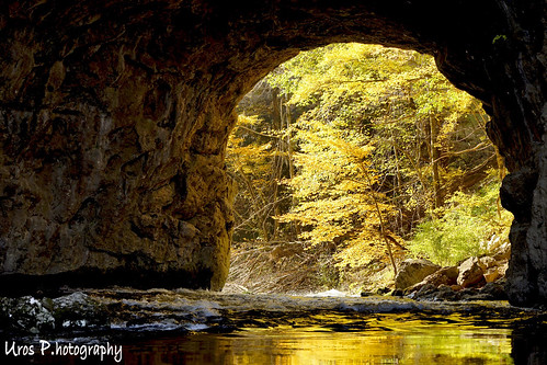 road trip travel bridge color colour tree tourism water colors beautiful photoshop river underground photography leaf amazing nice fantastic perfect long exposure colours tour view superb hiking unique sony awesome famous tourist adventure glorious slovenia journey software stunning excellent nik cave slovenija lovely fullframe striking incredible rak unforgettable brilliant breathtaking extraordinary aweinspiring remarkable monumental stupendous 70200mm memorable exceptional skocjan 14mm a7ii colapsed samyang acclaimed rakov rakovškocjan urosphotography