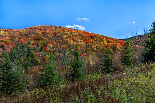 autumn mountain fallcolor fallfoliage westvirginia monongahelanationalforest canon6d highlandscenichighway