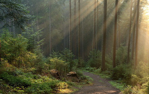 light sunrays schwarzwald blackforest schwarzenberg lightrays crepescularrays guidodekleijn nikond7100 schwarzenbergbaiersbronn sigma1835mmf18dchsmart