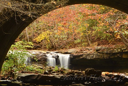bridge autumn trees fall leaves creek westvirginia waterfalls drawdyfalls