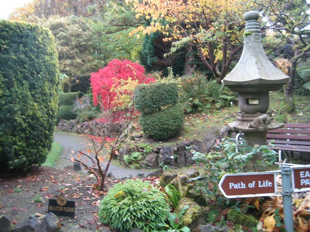 Japanese gardens Kildare
