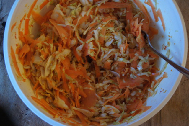 how to make kimchi DSC05622
