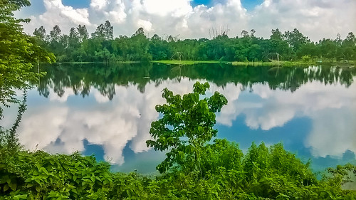 sky reflection green nature rural landscape eos bangladesh wetland beautifulbangladesh canon70d