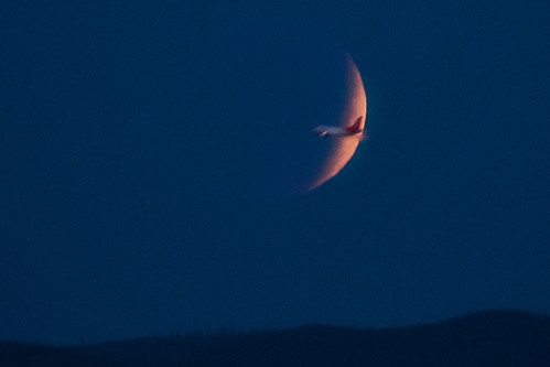 Lunar Eclipse and Air Canada Flight