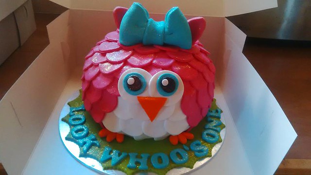 Baby Owl Cake by Kayla Boylan of Kayla's Bake's