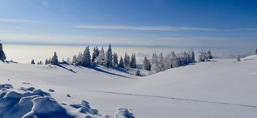winter snow fatbike ride 11022017 view fog blue sky