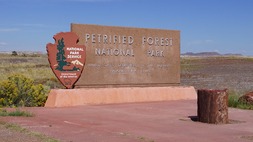 wood arizona nature forest nationalpark outdoor holbrook petrifiedforest petrified petrifiedwood