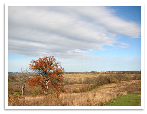 autumn sky tree leaves clouds landscape ky scenic pleasanthill shakervillage harrodsburg